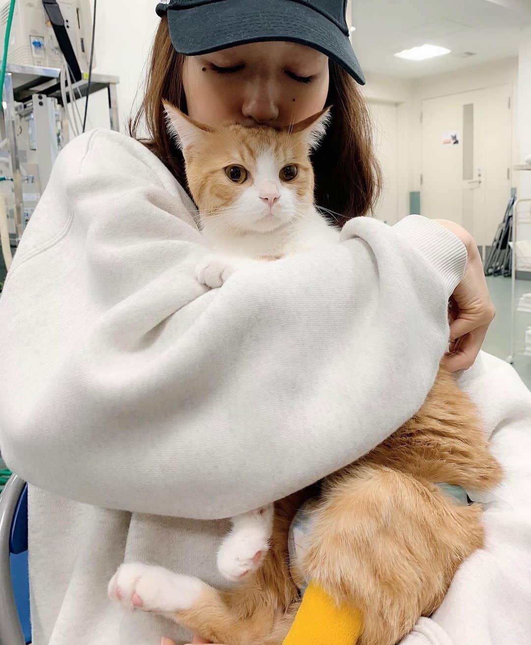 松島花さんのインスタグラム写真 - (松島花Instagram)「: 朝日新聞のペットサイト〝sippo〟での 連載「猫のいる幸せ」の第13回目が 本日アップされました🐈🐾 (＊朝日デジタル sippo 松島花 で 検索してください👆🏻) . 前回'ごろりん'の入院の報告をさせて 頂きましたが…本日のsippo では、 その後の報告をさせて頂きます。 . フォロワーの皆さんから 「ごろりんは、どうしていますか？」と コメントやDMを沢山頂きました😿 元気玉🔴も沢山頂きました🤲🏻 こんなに沢山の方に心配、応援して もらっている〝ごろりん〟🐈🐾 本当にしあわせです💕 皆さん、ありがとうございます🙏🏻✨ . 今回も、10月8日から現在までの様子を 書きました。 読んで頂けたら嬉しいです。 よろしくお願いします。 . #花アニマル #ごろりん入院 #高度医療センター #sippo #朝日新聞 #朝日デジタル  #連載 #猫のいる幸せ #ペットサイト #ごろりん #ゴメズ #フェスター  #保護猫 #元保護猫 #元野良猫  #負傷猫 #花にゃんず  #東京都動物愛護相談センター出身  #命の期限 #殺処分ゼロ #殺処分反対 #指1本でできるボランティア #ペットショップへ行く前に #里親になる選択を」11月12日 21時21分 - hana_matsushima_official