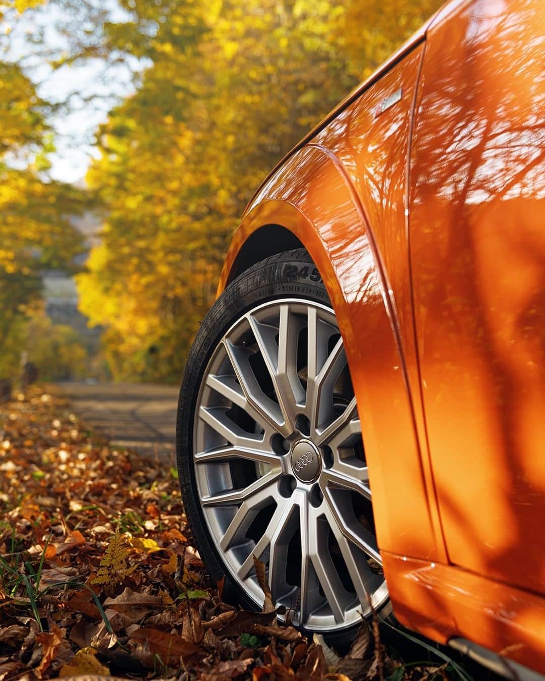 アウディ ジャパンさんのインスタグラム写真 - (アウディ ジャパンInstagram)「Audi TTでワインディングを自在に駆ける。それは「ドライブ」であることを超え、まさしくスポーツ。  秋の磐梯山に流れるひんやりとした空気が、ドライビングで火照った心と体を冷ましてゆく。  #Audi #TT #AudiTT #アウディTT #Audijapan #アウディ #紅葉 #紅葉狩り #autumnleaves #carwithoutlimits #carsofinstagram #Audiworld #Audigenic #Sportcar #車好きな人と繋がりたい」11月12日 20時00分 - audijapan