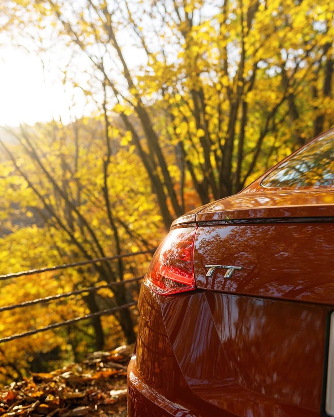 アウディ ジャパンさんのインスタグラム写真 - (アウディ ジャパンInstagram)「Audi TTでワインディングを自在に駆ける。それは「ドライブ」であることを超え、まさしくスポーツ。  秋の磐梯山に流れるひんやりとした空気が、ドライビングで火照った心と体を冷ましてゆく。  #Audi #TT #AudiTT #アウディTT #Audijapan #アウディ #紅葉 #紅葉狩り #autumnleaves #carwithoutlimits #carsofinstagram #Audiworld #Audigenic #Sportcar #車好きな人と繋がりたい」11月12日 20時00分 - audijapan