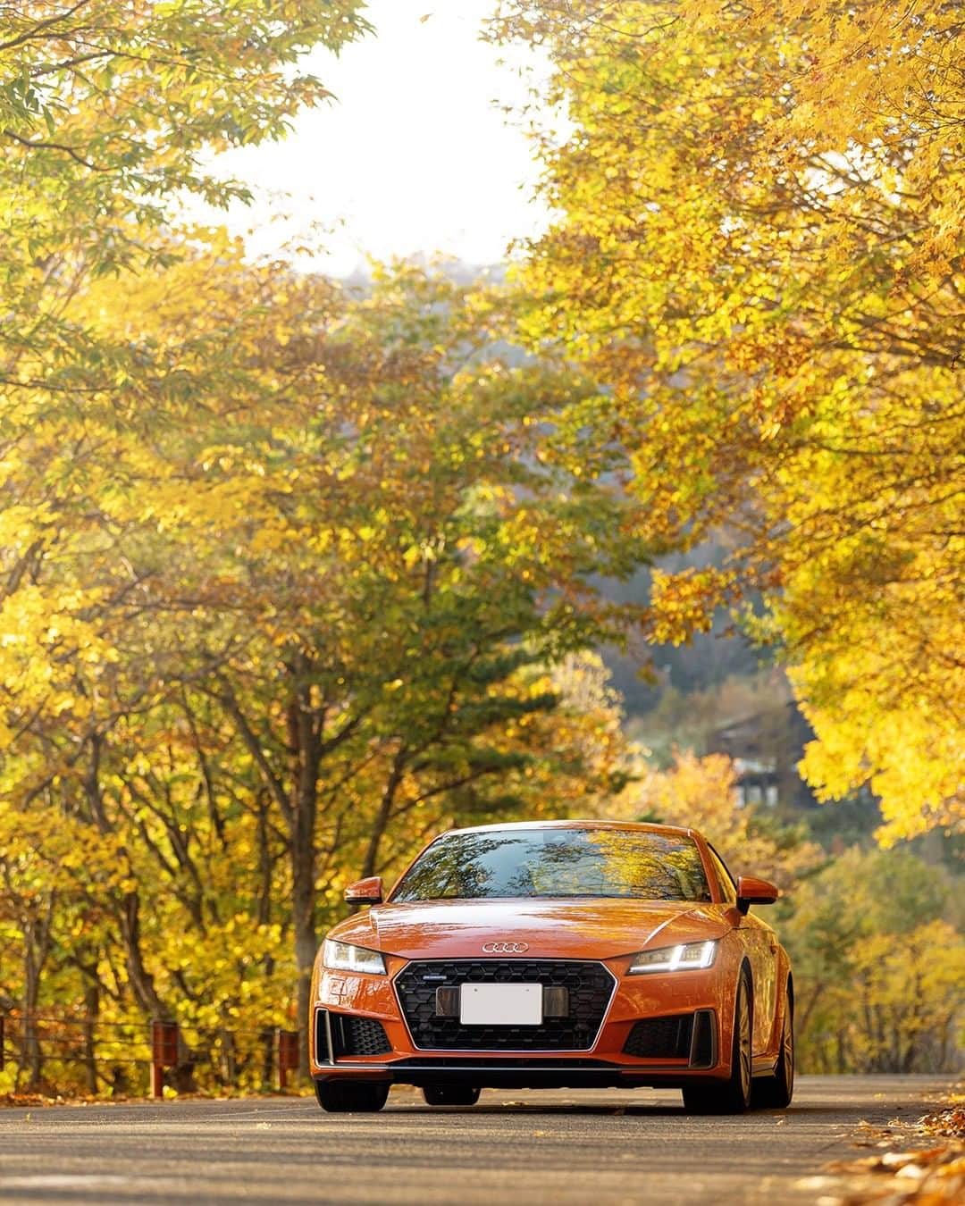 のインスタグラム：「Audi TTでワインディングを自在に駆ける。それは「ドライブ」であることを超え、まさしくスポーツ。  秋の磐梯山に流れるひんやりとした空気が、ドライビングで火照った心と体を冷ましてゆく。  #Audi #TT #AudiTT #アウディTT #Audijapan #アウディ #紅葉 #紅葉狩り #autumnleaves #carwithoutlimits #carsofinstagram #Audiworld #Audigenic #Sportcar #車好きな人と繋がりたい」