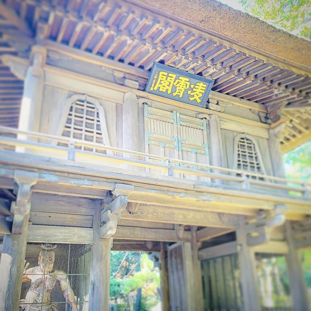 今野浩喜さんのインスタグラム写真 - (今野浩喜Instagram)「平林寺」11月12日 20時04分 - comnohiroki