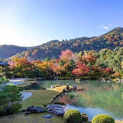 City of Kyoto Official Accountさんのインスタグラム写真 - (City of Kyoto Official AccountInstagram)「紅葉だより2019🍁更新中 https://ja.kyoto.travel/flower/momiji/  写真は本日(11/12)の天龍寺さんの様子です。(写真は天龍寺さんから提供いただきました。) #京都 #京都ジェニック #秋 #紅葉#もみじ #天龍寺 #🍁 #未来に残したい京都 #京都好きな人と繋がりたい #庭園  #visitkyoto #kyotogenic #autumninkyoto  #tenryuji #fallfoliage #maple #maplemania #mapleleaf #autumnleaves #kyototravel #japantrip #autumn #kyototrip #garden 🍁Kyoto Fall Foliage Calendar 2019🍁 https://fallfoliage.kyoto.travel/」11月12日 20時06分 - visit_kyoto