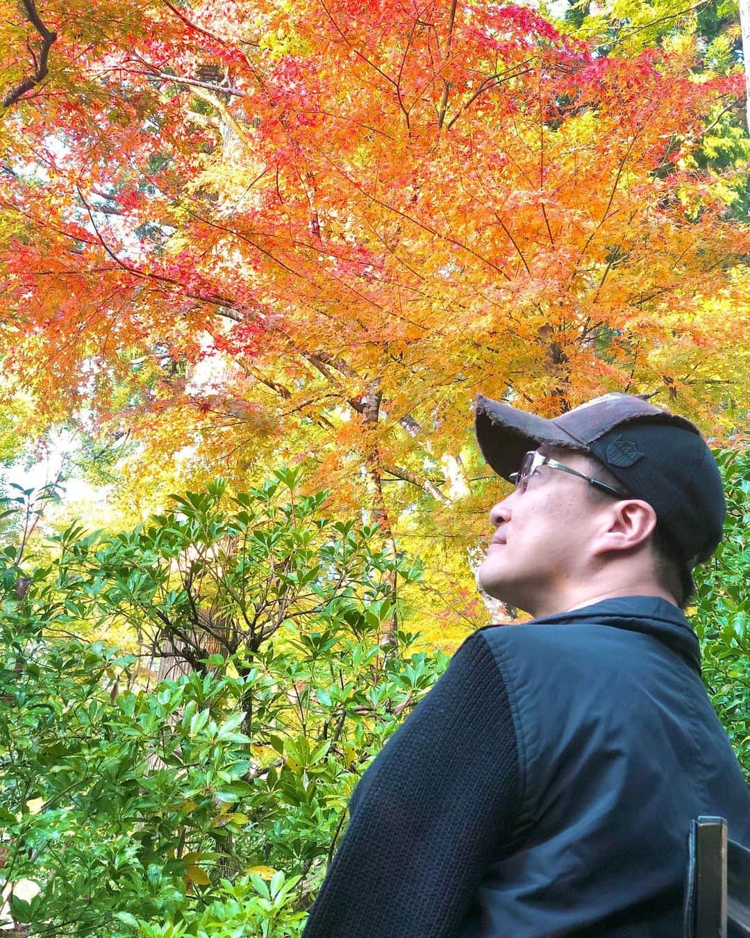 乙武洋匡のグルメインスタ