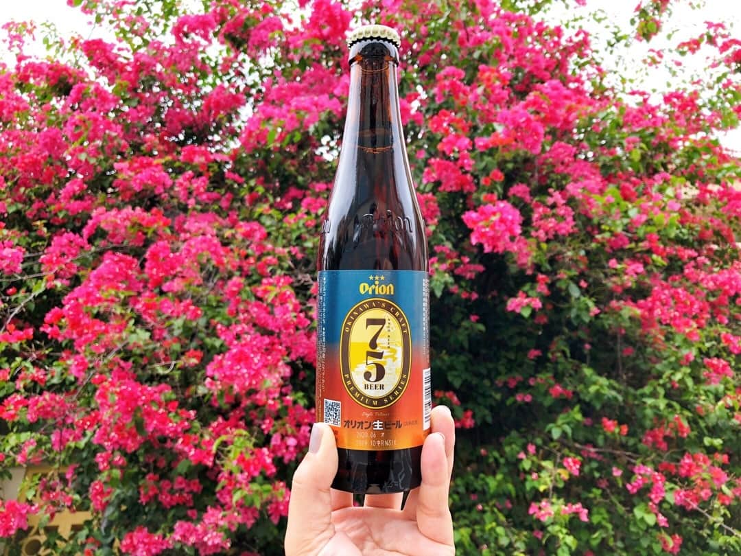 現地発信の旅行サイト「たびらい」さんのインスタグラム写真 - (現地発信の旅行サイト「たびらい」Instagram)「【沖縄】⠀ 2018年10月に、名護十字路商店連合会とオリオン醸造技術向上チームによる「75-BeerPROJECT」で、「ビールの街 “名護” にふさわしい本当に美味しいビール」として開発された75BEER。昨年は、名護市内限定で販売でしたが、今年は12月10日（火）より、県内全域で味わえるようになります♪  沖縄に旅行で来る際にはぜひ味わってみてくださいね！⠀ :⠀ #たびらい #tabirai #たびらい沖縄 #沖縄 #沖縄県 #ローカル旅行 #旅行好き #旅行 #travelgram #女子旅 #旅行好きな人と繋がりたい #travel #75ビール #75beer #名護 #おきなわ #沖縄旅行 #ビール党 #ビール #beer #名護ビール #nago #okinawa #ビール女子 #ビール好き #beerstagram #クラフトビール #お酒 #ビール部 #trip」11月12日 21時01分 - tabirai
