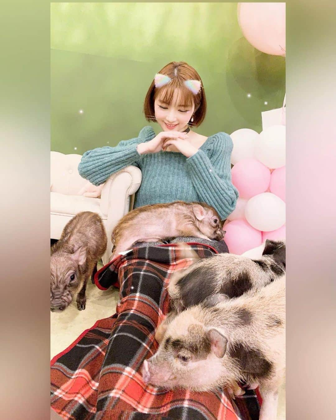 森下悠里さんのインスタグラム写真 - (森下悠里Instagram)「楽しかったー🐷💓💓💓 - 原宿に今月Openしたばかりの子豚カフェ - 子豚ちゃん達　人懐っこくて 香りも無いし、本当良い子達で癒し💓 - 個室もあって　デートや女子会 ママ会にオススメだよ✨ - @mipigcafe #animal #cafe #Micropig #kawaii #cute」11月12日 21時05分 - yuurimorishita