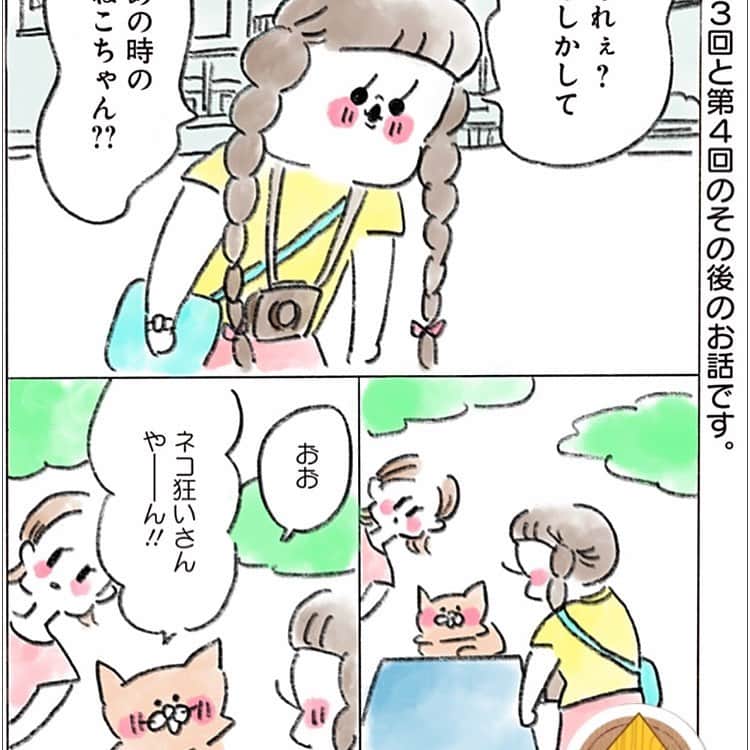 やまもとりえのインスタグラム：「1月に発売される「ねこでよければ」の単行本の書き下ろしを少しだけ公開しています〜！！よろしければ！ （ストーリーから読みにいけます） 三話と四話のその後のお話です。」