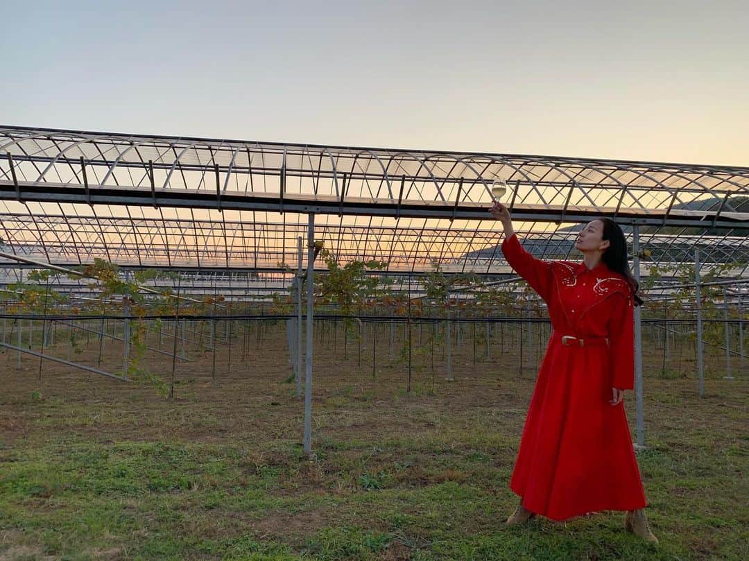 レイヤマダのグルメインスタ