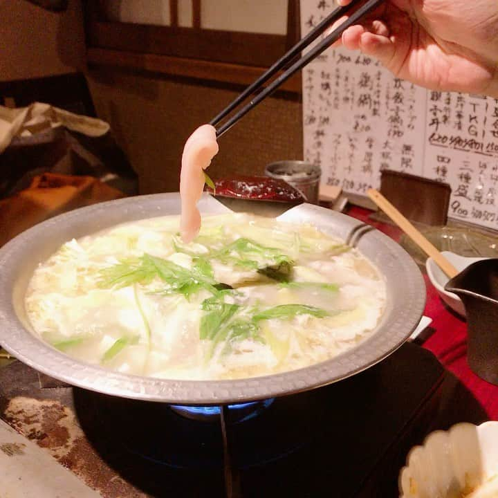 大崎初音のインスタグラム：「． 鶏鍋だああああああ！！ ． 鶏鍋っていうよりも鶏しゃぶ？？ ． ももやせせりはお鍋に入れて。 ササミや白レバー・ハツ(あと１つめっちゃ美味しいのに名前忘れたー😭)はしゃぶしゃぶして淡いピンク色でいただきました😋 ． スープも自家製梅ポン酢も〆のおうどんも美味しすぎて幸せでした.°ʚ(*´꒳`*)ɞ°. ． 個人的にはスープがしっかり絡んだお豆腐も美味しかったなぁ♡ ． 今週中はこの鶏鍋が１人前820円なんだそうです🤤 ひゃー😍😍😍 ． ． #まんまグラム  #夜まんま  #鶏鍋  #鶏しゃぶ  #水炊き  #鳥スープ  #白レバー  #〆のおうどん」