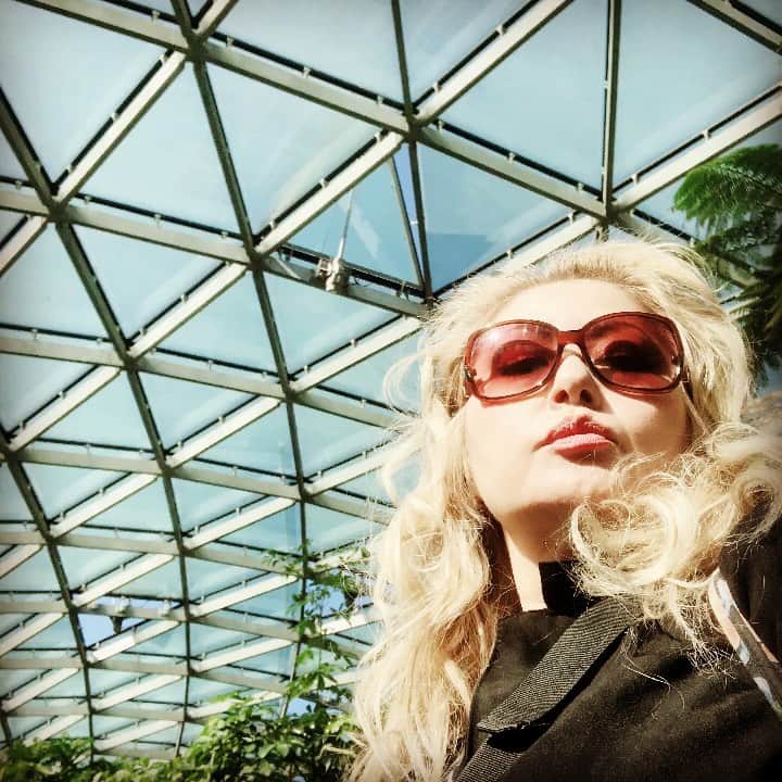 のインスタグラム：「はい。 JILL散歩。 紅葉が綺麗だったわあー  #2019112 #新宿御苑 #JILL散歩 #安倍首相から呼ばれてないけど新宿御苑　#radiotakasaki  #1205名古屋bluenote #1206大阪billboard #詳細はオフィシャルサイトpersonznet #personz  #jillpersonz @jillpersonz」