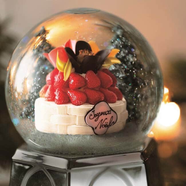 オズモール編集部さんのインスタグラム写真 - (オズモール編集部Instagram)「【シャンパン香るケーキや真っ赤なプレゼント型も！西武池袋本店が贈る、ドラマチックなクリスマスケーキ】 ㅤㅤㅤㅤㅤㅤㅤㅤㅤㅤㅤㅤㅤ 西武池袋本店が贈るのは「ドラマチックなクリスマス」にぴったりな、特別感あるクリスマスケーキ🎂 ㅤㅤㅤㅤㅤㅤㅤㅤㅤㅤㅤㅤㅤ フレンチの巨匠ジョエル・ロブションのパティスリー「ラ ブティック ドゥ ジョエル・ロブション」から登場するのは、シックで上品なケーキ✨ ㅤㅤㅤㅤㅤㅤㅤㅤㅤㅤㅤㅤㅤ シャンパーニュ「ヴーヴ・クリコ」のムースとジュレに、フランボワーズのジュレが複雑に重なった大人な味わいが楽しめます。 ㅤㅤㅤㅤㅤㅤㅤㅤㅤㅤㅤㅤㅤ また、かわいいチューリップのお花のスイーツがトレンドマークの「TOKYOチューリップローズ」は、今年初めてクリスマスケーキが登場🌷 ㅤㅤㅤㅤㅤㅤㅤㅤㅤㅤㅤㅤㅤ 甘酸っぱいフレッシュいちごととろける生クリームを重ねた王道のショートケーキの上には、チョコレートでできたチューリップが愛らしく咲きます。 ㅤㅤㅤㅤㅤㅤㅤㅤㅤㅤㅤㅤㅤ その他にも、柑橘のフレッシュな香りが楽しめる「セバスチャン・ブイエ」の柑橘ケーキや、香り高い濃厚な味わいのチョコレートをたっぷりのピーチラズベリージェリーでコーティングした「アトリエ ドゥ ゴディバ」のストロベリームースなど、豪華なケーキをお見逃しなく！ ㅤㅤㅤㅤㅤㅤㅤㅤㅤㅤㅤㅤㅤ ㅤㅤㅤㅤㅤㅤㅤㅤㅤㅤㅤㅤㅤ 「西武池袋本店のクリスマスケーキ」詳細はこちら⬇︎ https://www.ozmall.co.jp/xmas/xmascake/16108/ ㅤㅤㅤㅤㅤㅤㅤㅤㅤㅤㅤㅤㅤ @ozmall_editors #オズモール #東京女子部 #Xmasスイーツに魅せられて #クリスマス #クリスマスケーキ #スイーツ#西武池袋本店#西武#池袋 #スイーツ好き#クリスマススイーツ#スイーツ部#ケーキ#スイーツ好きと繋がりたい#クリスマス好きと繋がりたい #カメラ女子 #フォトジェニック#Xmas#Christmas#Christmascake」11月12日 13時55分 - ozmall_editors
