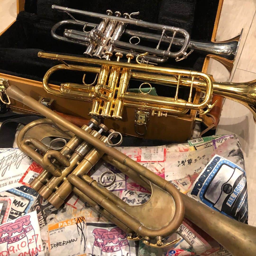 シーサーのインスタグラム：「・ キヨウは彼女が3人 いいだろ〜◎ #  #recording #trumpet #xotrumpet #bachtrumpet #DOBERMAN_ska #trumpetlovers」