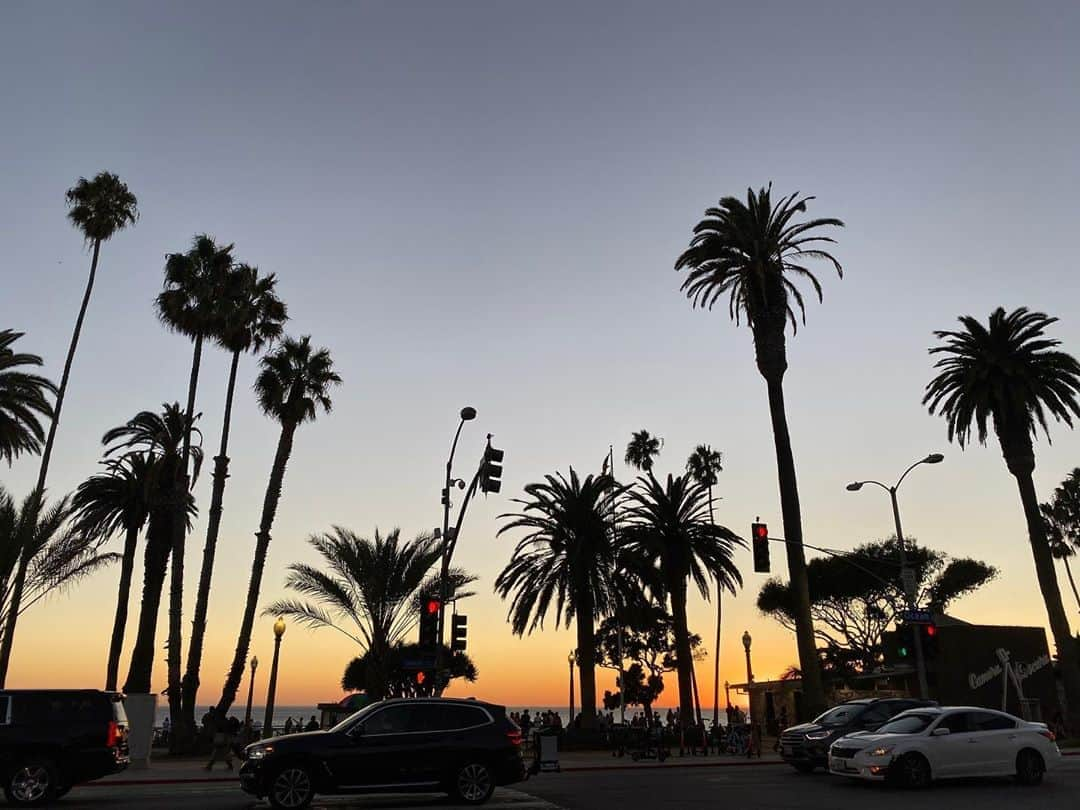 竹地ほのかさんのインスタグラム写真 - (竹地ほのかInstagram)「palm tree🌴夕陽×ヤシの木ってなんでこんなに綺麗なんだろ！」11月12日 14時09分 - min00l8