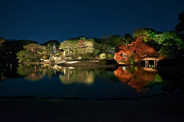 レッツエンジョイ東京さんのインスタグラム写真 - (レッツエンジョイ東京Instagram)「. ✩★------------------﻿ まもなく見ごろ！﻿ 秋の紅葉スポット3選﻿ ------------------✩★﻿ ﻿ ﻿ 📷大田黒公園（荻窪）﻿ 毎年約6万人が訪れる紅葉の名所「大田黒公園」。回遊式日本庭園なので、散策しながら景色を堪能できます🐈💨﻿ ﻿ 📷六義園（駒込／千石）﻿ 山や池が配された園内の随所で紅葉が楽しめます。「紅葉と大名庭園のライトアップ」期間中は開園時間を21時まで延長🌝﻿ ﻿ 📷高幡不動尊金剛寺（高幡不動）﻿ オレンジや朱赤に色づいた1300本以上のイロハモミジやオオモミジが境内を彩ります🍁﻿ ﻿ 秋ならではの美しい光景を堪能しに、おでかけしてみては？﻿ ﻿ 詳細はアカウントトップから﻿ 👉@lets_enjoytokyo﻿ ﻿ ﻿ #レッツエンジョイ東京 #おでかけ﻿ #紅葉 #紅葉ライトアップ ﻿ #イチョウ #いちょう #もみじ﻿ #風景写真 #紅葉デート﻿ #秋の風景 #紅葉ライトアップ﻿ #秋が好き #秋が来た﻿ #おでかけスポット #デートスポット﻿ #デート #のんびりデート #休日の過ごし方 ﻿ #お散歩 #おさんぽ #さんぽ﻿ #大田黒公園 #大田黒公園紅葉ライトアップ﻿ #六義園 #六義園ライトアップ #高幡不動﻿ #高幡不動尊金剛寺 #荻窪 #駒込 #千石」11月12日 14時19分 - lets_enjoytokyo