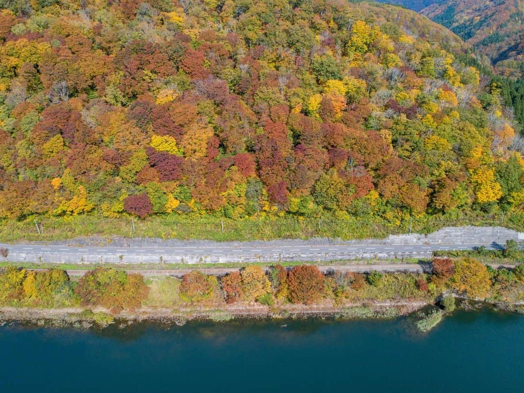 山人さんのインスタグラム写真 - (山人Instagram)「紅葉ハイライト⑥ 空から見る西和賀の紅葉 息を飲むような紅葉をお届けします。  #東北 #岩手県 #西和賀町 #湯川温泉 #山人 #yamado #ホテル #ホテルマン #山人スタッフが行く #a7ⅲ #絵 #地元の良さ #北上線 #全室かけ流し温泉付き #ここにしかない魅力 #四季 #季節 #自然 #スタッフsh撮影 #秋 #autumn #紅葉 #錦秋湖 #銀河鉄道 #湯田ダム #赤い橋 #空撮 #光 #シリーズ紅葉 #第六弾」11月12日 14時27分 - yamado.official