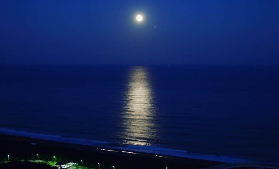 フェニックス・シーガイア・リゾートさんのインスタグラム写真 - (フェニックス・シーガイア・リゾートInstagram)「月の光に恋する瞬間。﻿ ﻿ 本日は満月。海から月が昇りはじめると、月光が海に映り、満月の夜に月に向かってまっすぐに続く「月の道」が現れます。月の出の時刻の30分後～1時間のわずか30分。それは時を忘れてしまうくらい美しく、心奪われてしまう絶景です。﻿ お泊りのお部屋や36階クラブフロア専用ラウンジから、大切な人とゆっくりご覧ください。﻿ ﻿ クラブラウンジでは、満月の日の夕方1時間だけ、「月の道」の絶景と共に、バーテンダーが目の前で仕上げる特別なカクテルと月をテーマにしたアペタイザーをお楽しみいただけます。﻿ ■時間：11月12日 17:00～18:00 （本日の月の出 17:21）﻿ ﻿  #月の道 #満月 #絶景 #リゾートなひととき #シェラトングランデオーシャンリゾート #シーガイア #ごちそうシーガイア #宮崎 #リゾートホテル #fullmoon #moonroad #moonlight #SheratonGrandeOceanResort #SEAGAIA #MIYAZAKI #travel #hotellife」11月12日 14時30分 - seagaia_official