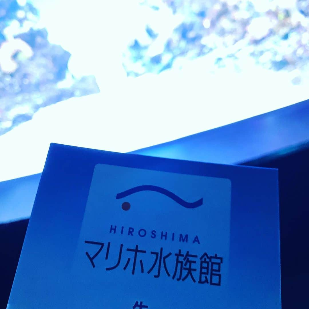 谷口大智さんのインスタグラム写真 - (谷口大智Instagram)「朝からトレーニング、そしてヨガを初体験🧘‍♂️ これからいろんなプログラムに参加して、身体を変えていこうと思います。  昼からはマリホ水族館へ🐠  1人で1時間近く考えたり、考えなかったり、メイン水槽の前でボーとする。餌やりのショーを観れたのはラッキーでした🤞 水族館の中の濾過システムとか、いろいろ見てみたいなー🤔👀 リフレッシュして明日からまた気合入れて🏀するぞー🙌  #dtのオフ #マリホ水族館」11月12日 14時52分 - daichi0055