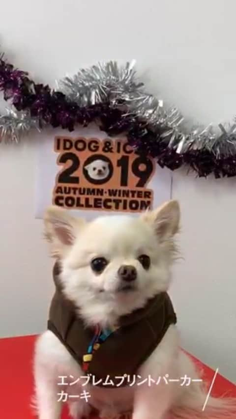 iDog&iCatのインスタグラム