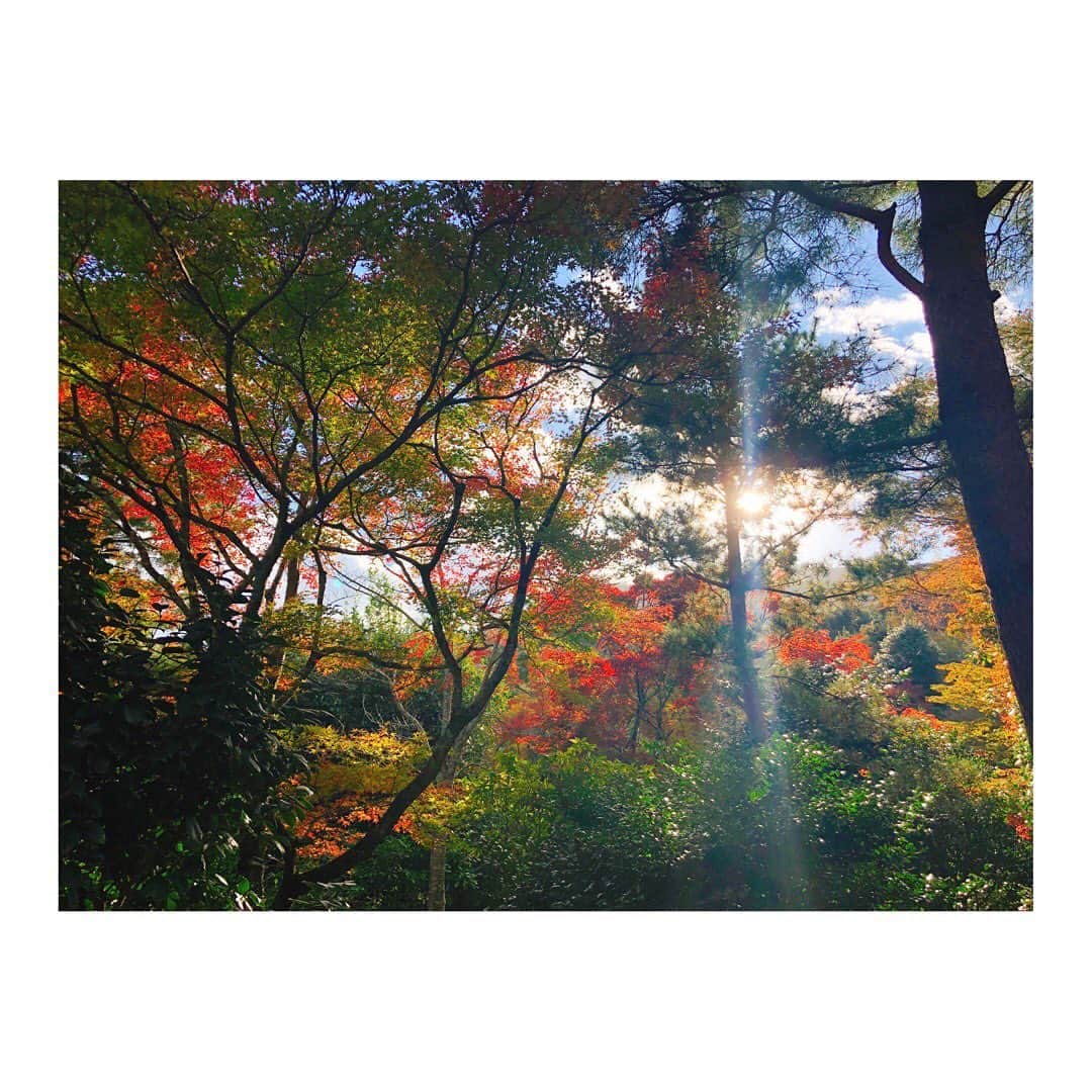 宇賀なつみさんのインスタグラム写真 - (宇賀なつみInstagram)「. . 古都、色づいております。 . 秋は夕暮れ。 急いで帰る理由なんて、ないね。 . . #kyoto #京都 #autumnleaves  #紅葉」11月12日 16時22分 - natsumi_uga