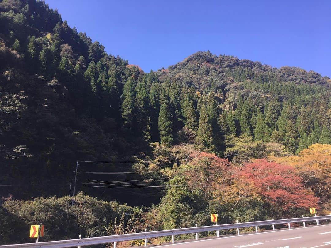 宮本佳奈さんのインスタグラム写真 - (宮本佳奈Instagram)「今日は取材で諸塚村に行ってきました😊💕 ・  初めての諸塚村で朝からワクワクしていましたが、着いてみるととっても素敵な所！ ・  山の雄大な立体感と自然ならではの優しい色彩のグラデーションは何度見ても綺麗で見飽きることがありません🌈 ・  自然いっぱいの景色に、私の第2のふるさと五ヶ瀬町を思い出し、懐かしくも思いました。 ・  さて、今日はそんな諸塚村の中学生たちがふるさとの魅力をPRする活動の発表をしたり、大人たちがふるさとのためにできることを話し合ったりする会議を取材してきました✨ ・  放送日が近付きましたらまた改めてお知らせします😊 ・  #まなび隊　#諸塚　#諸塚村　#宮崎　#miyazaki #ふるさと　#故郷　#地元　#紅葉　#自然　#綺麗でした　#素敵な景色　#photo #today #me #自撮り　#練習中　#アナウンサー」11月12日 17時50分 - mrt.miyamoto