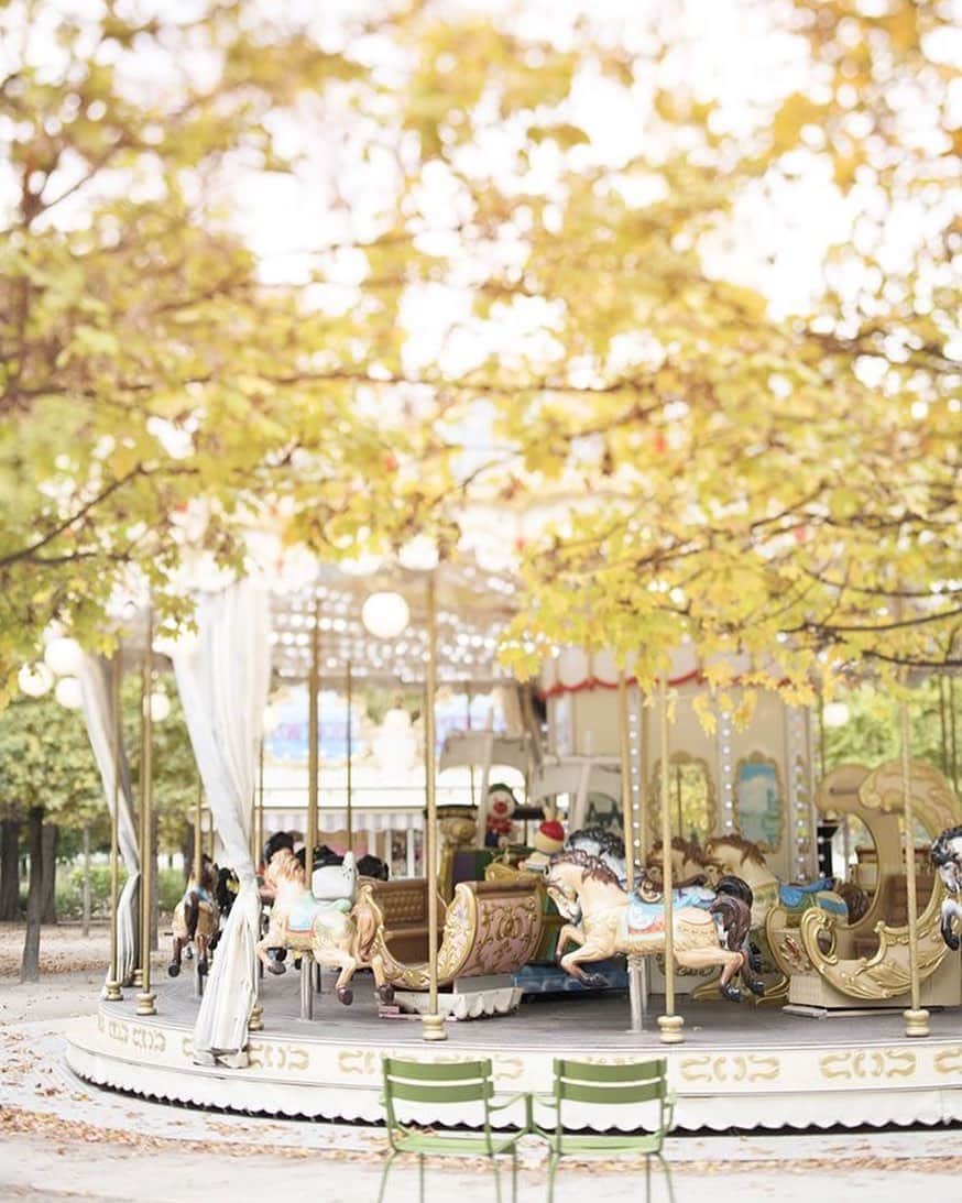 ジャマンピュエッシュのインスタグラム：「Golden autumn leaves in the Tuileries garden.」