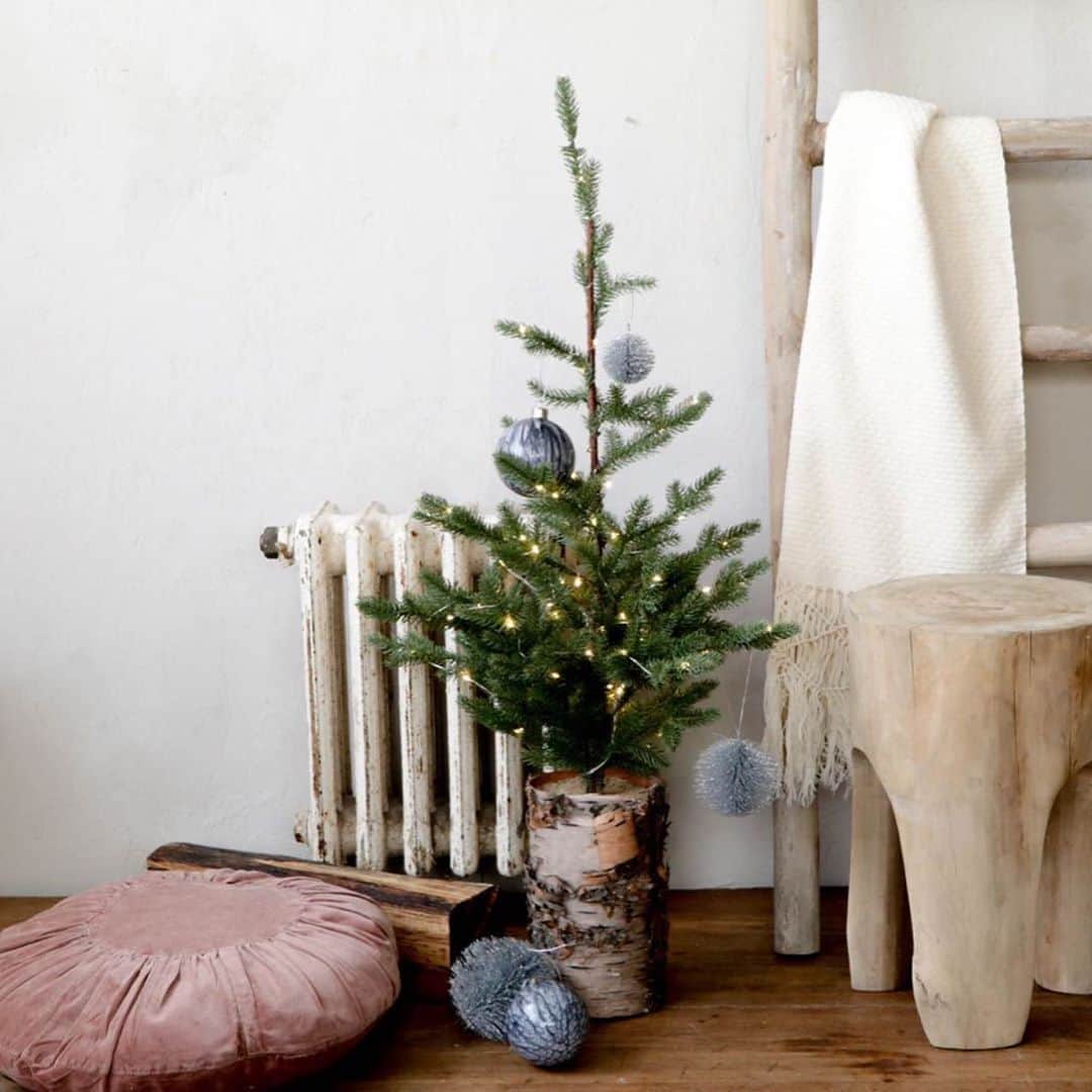 販売認定店 Orne de Feuilles（オルネドフォイユ） クリスマスツリー