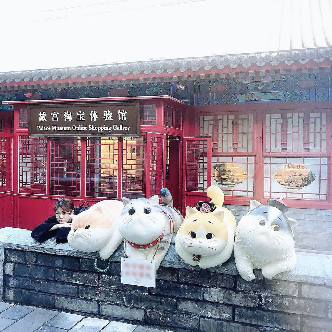 松村沙友理さんのインスタグラム写真 - (松村沙友理Instagram)「猫ちゃんにまぜてもらいました。  #北京 #観光 #猫 #おとぼけ顔 #猫ちゃん上手 #もふもふ #ではなく #かちかち」11月12日 19時10分 - matsumura_sayuri_official