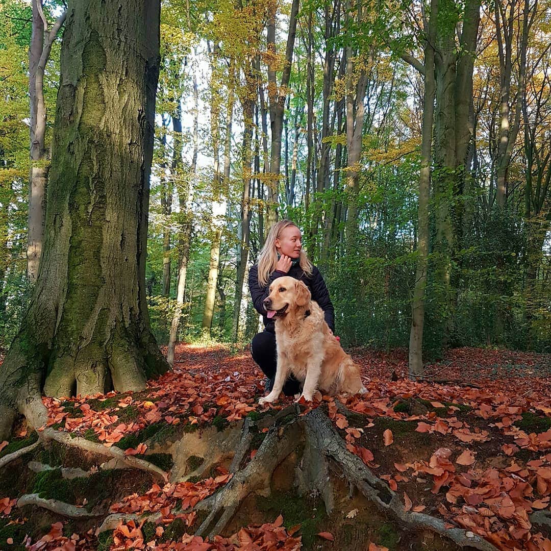 リーケ・ウェイファースのインスタグラム：「I ♡ the forest during fall 🍂happy I was able to make a long walk again, 1 week after my surgery. My recovery is going well, happy with every step and every moment..sometimes the contrast of moments in life are so big, with the timings so small..1 month ago we were on our absolute peak performance at Worlds, now it is a 180° opposite month with a lot of other challenges. I guess the best way to deal with it is to flow with these moments..I have trust in this chapter and in the next one, cause I know the author..Every season has its charms, the sunny days as well as the fall..」