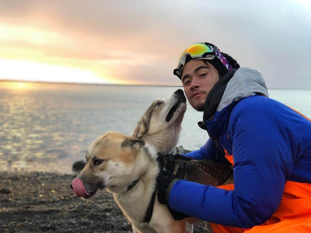 ダニエル太郎さんのインスタグラム写真 - (ダニエル太郎Instagram)「Animals and water falls #seljandfoss #Skogafoss #husky #horse #iceland」11月13日 6時30分 - tarodaniel