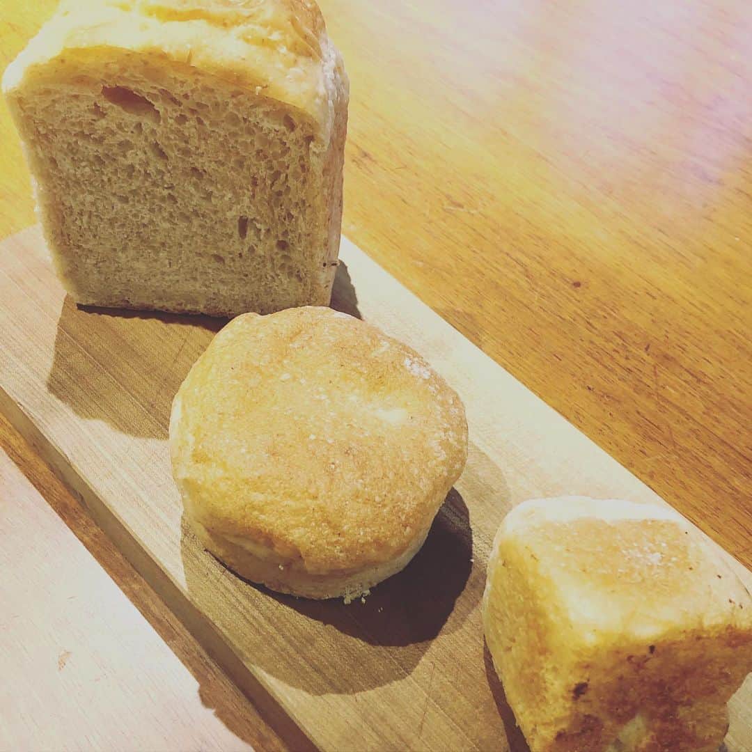 ひうらさとるのインスタグラム：「おはよう、タルマーリパン おいしいーーー （買えなかったみなさま、ごめんなさい🙇‍♀️ 我が家も予約しました💦） #タルマーリ #mmmkinosaki  #また来てくれるそうです」