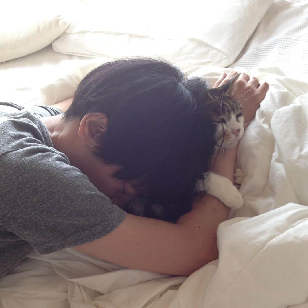 山田稔明さんのインスタグラム写真 - (山田稔明Instagram)「今朝の夢にポチが出てきた、ということをブログに書きました。初めてかな。「なんということでもない、今朝見た夢の話」プロフィールのリンクからご覧ください。 #山田ポチ」11月12日 21時50分 - toshiakiyamada