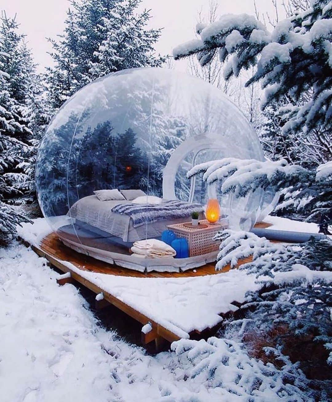 ミシェル・モナハンさんのインスタグラム写真 - (ミシェル・モナハンInstagram)「Yep, I do live in a bubble. 🤷🏻‍♀️🔮💅🏻#loveatfirstfrost #snowglobegoals #traveltuesday」11月12日 22時05分 - michellemonaghan