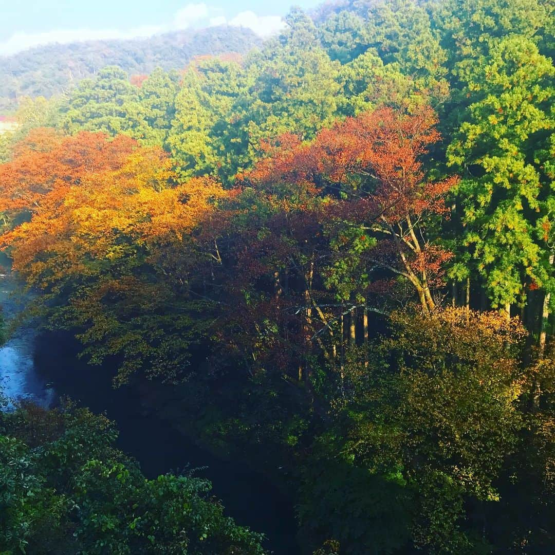 丸山敬太さんのインスタグラム写真 - (丸山敬太Instagram)「激しい雷雨の中金沢から車で山中温泉まで移動したのだけど、行きも帰りも、ほぼほぼ、車に乗ると嵐のように雨風が吹き荒れ、降りると共に 日が射すの繰り返しで、なんだか、何かに護られているかのような不思議な一日でした。  本当にすごい雨だったのに。笑 晴れ男ざんす☀️」11月12日 22時26分 - keitamaruyama