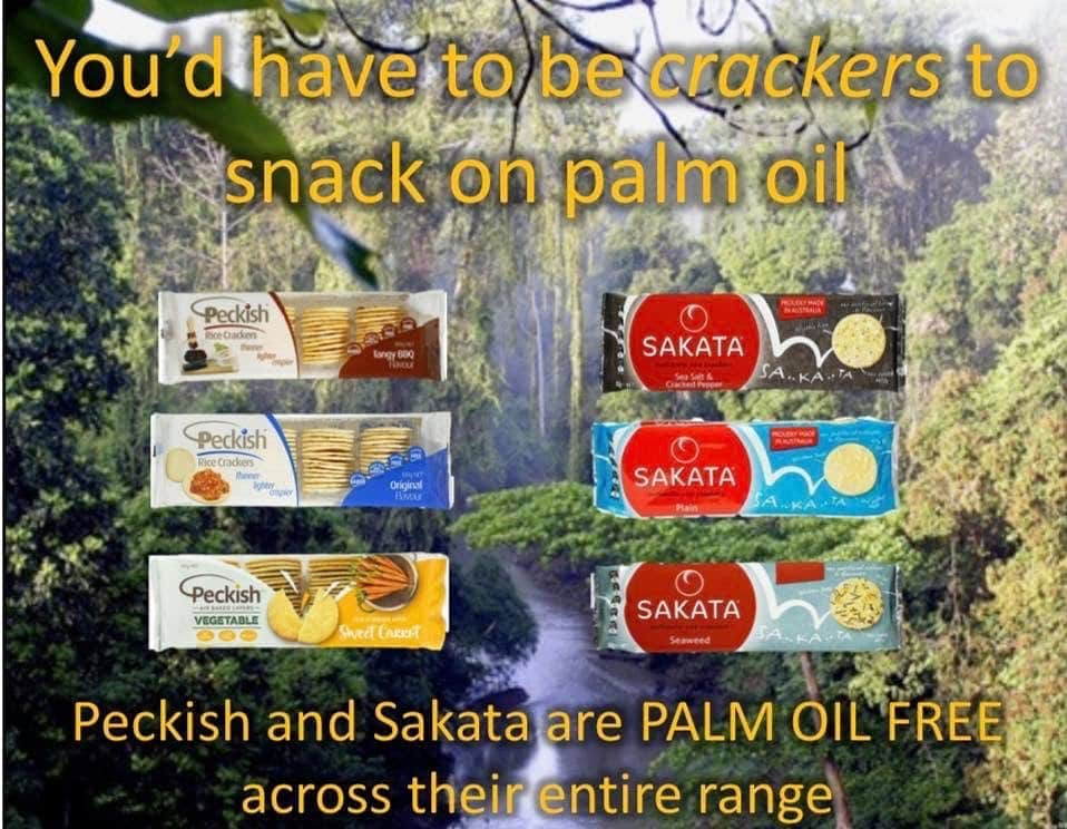 OFI Australiaさんのインスタグラム写真 - (OFI AustraliaInstagram)「Help save orangutans and their rainforest home. Choose palm oil free rice crackers.  _____________________________________ 🐒 OFIA Founder: Kobe Steele 💌 kobe@ofiaustralia.com | OFIA Patron and Ambassador: @drbirute @orangutanfoundationintl |  www.orangutanfoundation.org.au 🐒  #orangutan #orphan #rescue #rehabilitate #release #BornToBeWild #Borneo #Indonesia #CampLeakey #orangutans #savetheorangutans #sayNOtopalmoil #palmoil #deforestation #destruction #rainforest #instagood #photooftheday #environment #nature #instanature #endangeredspecies #criticallyendangered #wildlife #orangutanfoundationintl #ofi #drbirute #ofi_australia #ofia #fosteranorangutantoday」11月12日 22時37分 - ofi_australia