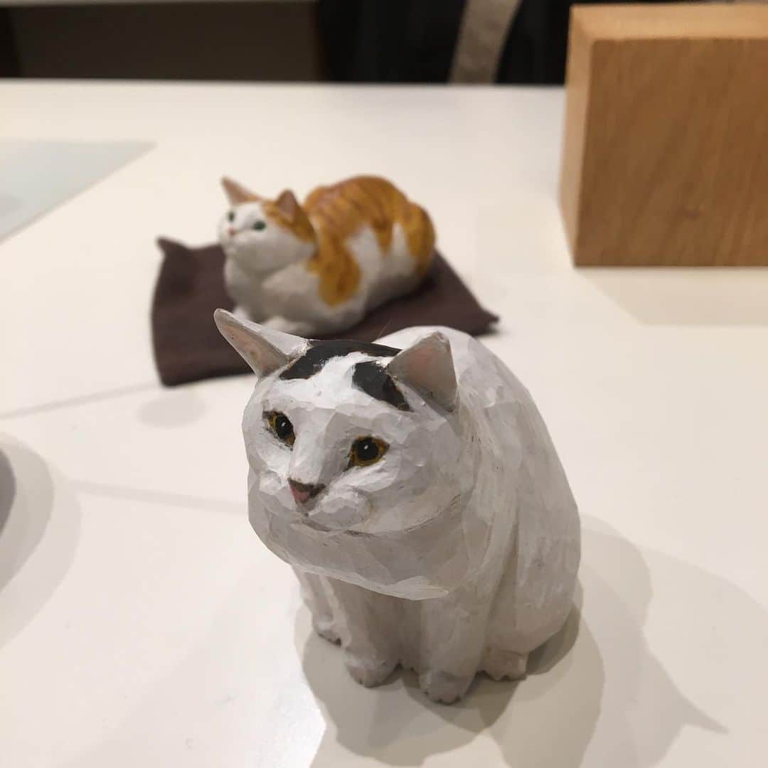 yamanekoさんのインスタグラム写真 - (yamanekoInstagram)「個展初日、平日にもかかわらず、沢山のご来場ありがとうございました。 おかげさまでみんな里親さんが決まりましたが、最終日まで展示はしています。お気軽に猫たちに会いに来てくださいませ。 16日まで @jalona_akasaka  #赤坂ジャローナ #小さな木彫りのねこ5 #バンナイリョウジ」11月12日 22時58分 - yamaneko5656
