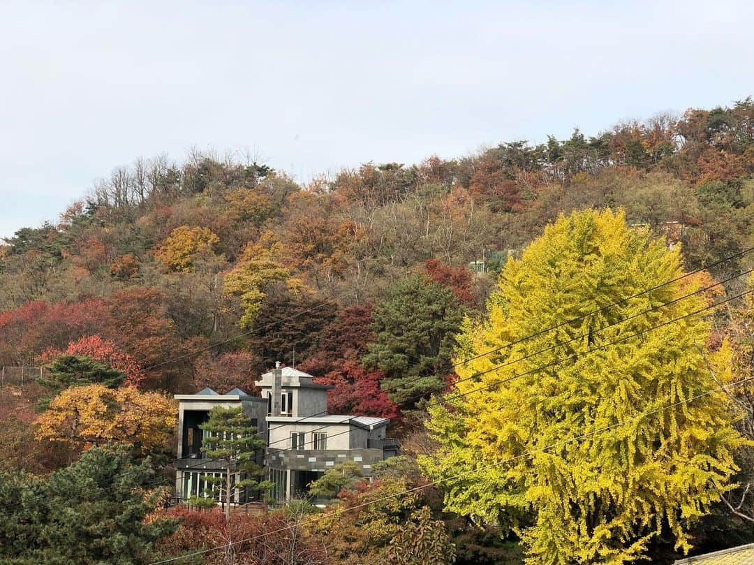 イム・セミさんのインスタグラム写真 - (イム・セミInstagram)「아끼는 가을, 부암동」11月12日 23時01分 - susemee