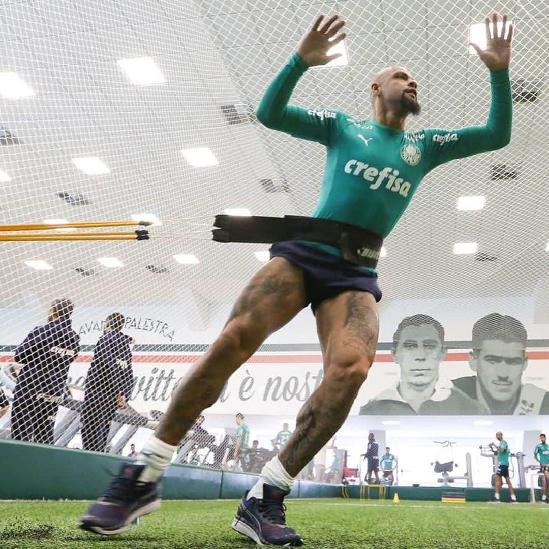 フェリペ・メロさんのインスタグラム写真 - (フェリペ・メロInstagram)「Guarda-me, ó Deus,  porque em ti confio. Salmos 16:1 #palmeiras #confioEmDeus #obrigadoJesus #treino #ousado #avantipalestra 🐷💚🦁」11月13日 1時00分 - felipemelo