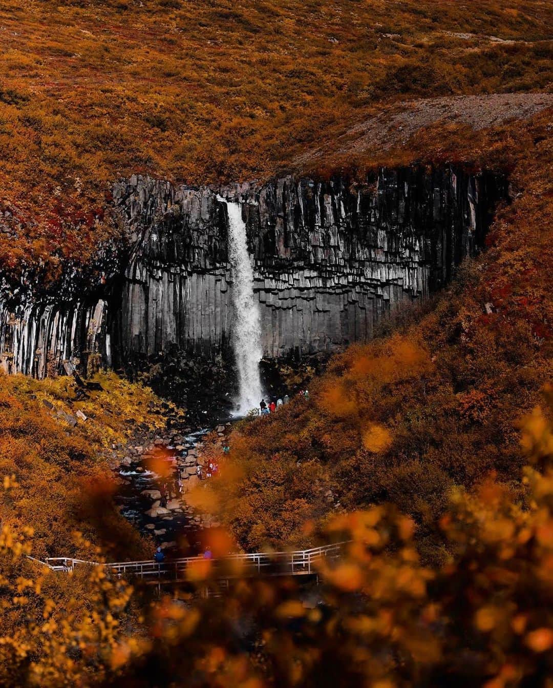 Cubby Grahamのインスタグラム：「Can you beleaf its November? 🍂  I don’t know about you, but the end of the year can often feel like a 2x speed Podcast. I’ve been trying to be better about intentionally carving out time to slow myself down. Because time is rarely something you find, it’s something you have to make. Lately it’s been waking up a little earlier for an extra 5-10min to simply sit with my coffee and @rorymckinna before opening my inbox, and even taking different routes to work. I hope you can also make time today for yourself to pause, be still, and enjoy this beautiful season.  Hope everyone is having a wonderful Tuesday 💛 Remember to be kind to yourself and others.」