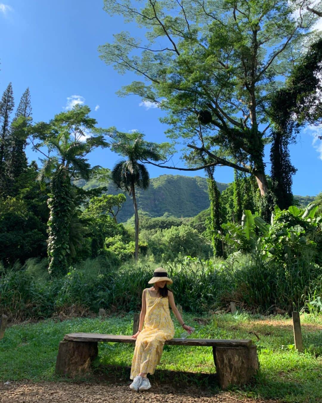 堤友香さんのインスタグラム写真 - (堤友香Instagram)「. 新鮮なハワイの空気、 お腹に届け〜🙌🍀 . 大きな木々の木陰を抜けて 1時間。 マノアの滝💓 上品で美しい滝でした。 #ハワイ #マタ旅ハワイ #マタタビ #マタニティ #マタ旅 #マノアの滝 #マノア #トレイル」11月13日 2時53分 - yuka_tsutsumi0605