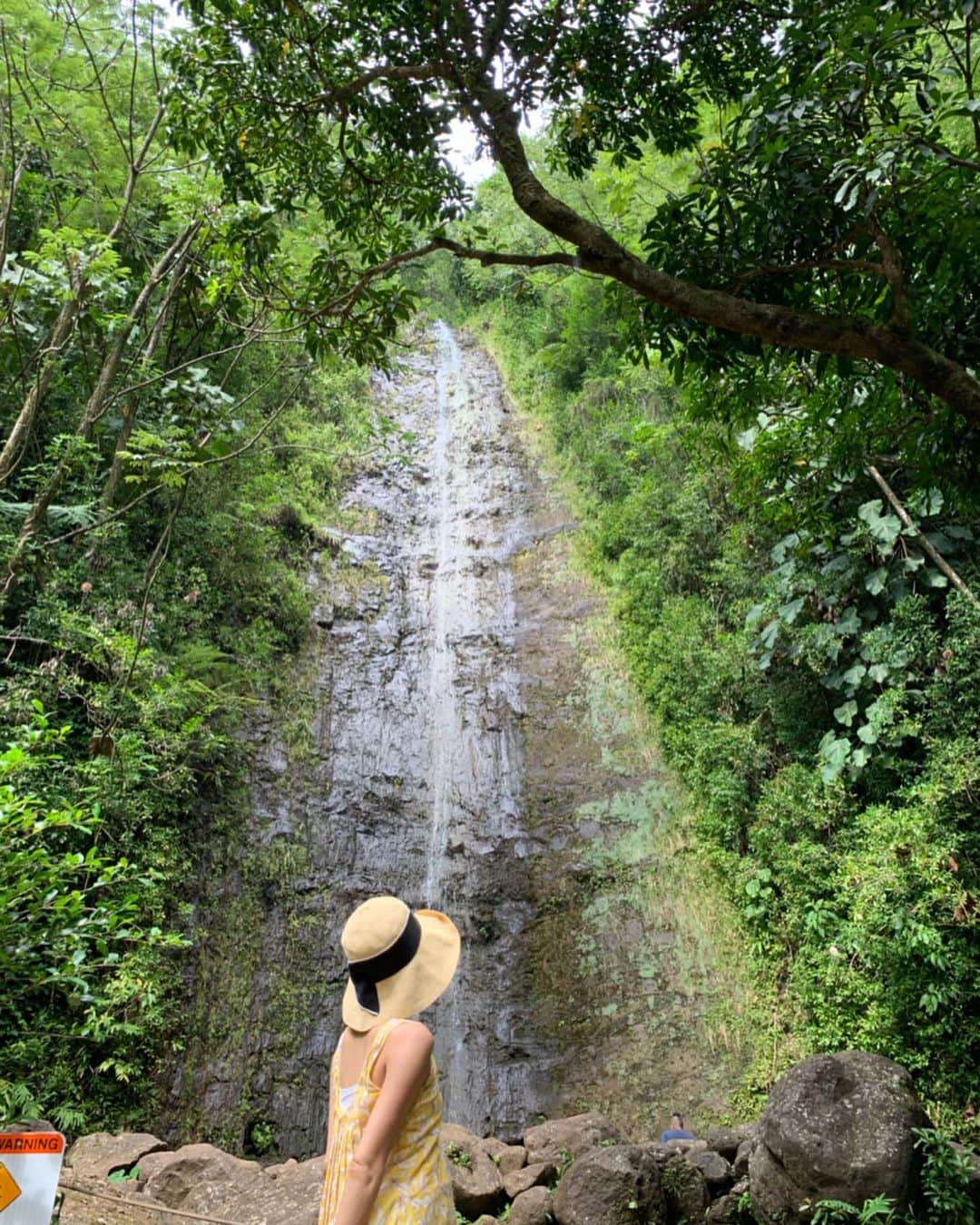 堤友香さんのインスタグラム写真 - (堤友香Instagram)「. 新鮮なハワイの空気、 お腹に届け〜🙌🍀 . 大きな木々の木陰を抜けて 1時間。 マノアの滝💓 上品で美しい滝でした。 #ハワイ #マタ旅ハワイ #マタタビ #マタニティ #マタ旅 #マノアの滝 #マノア #トレイル」11月13日 2時53分 - yuka_tsutsumi0605