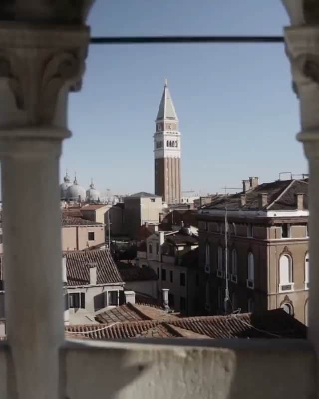 のインスタグラム：「#セルフポートレート ヴェネツィアにて。 #selfportrait  #izastagram  #repost @mrselfportrait ・・・ A Self Portrait Affair in Venice  #SelfPortraitAffair Video by @romainreglade x @germanlarkin」