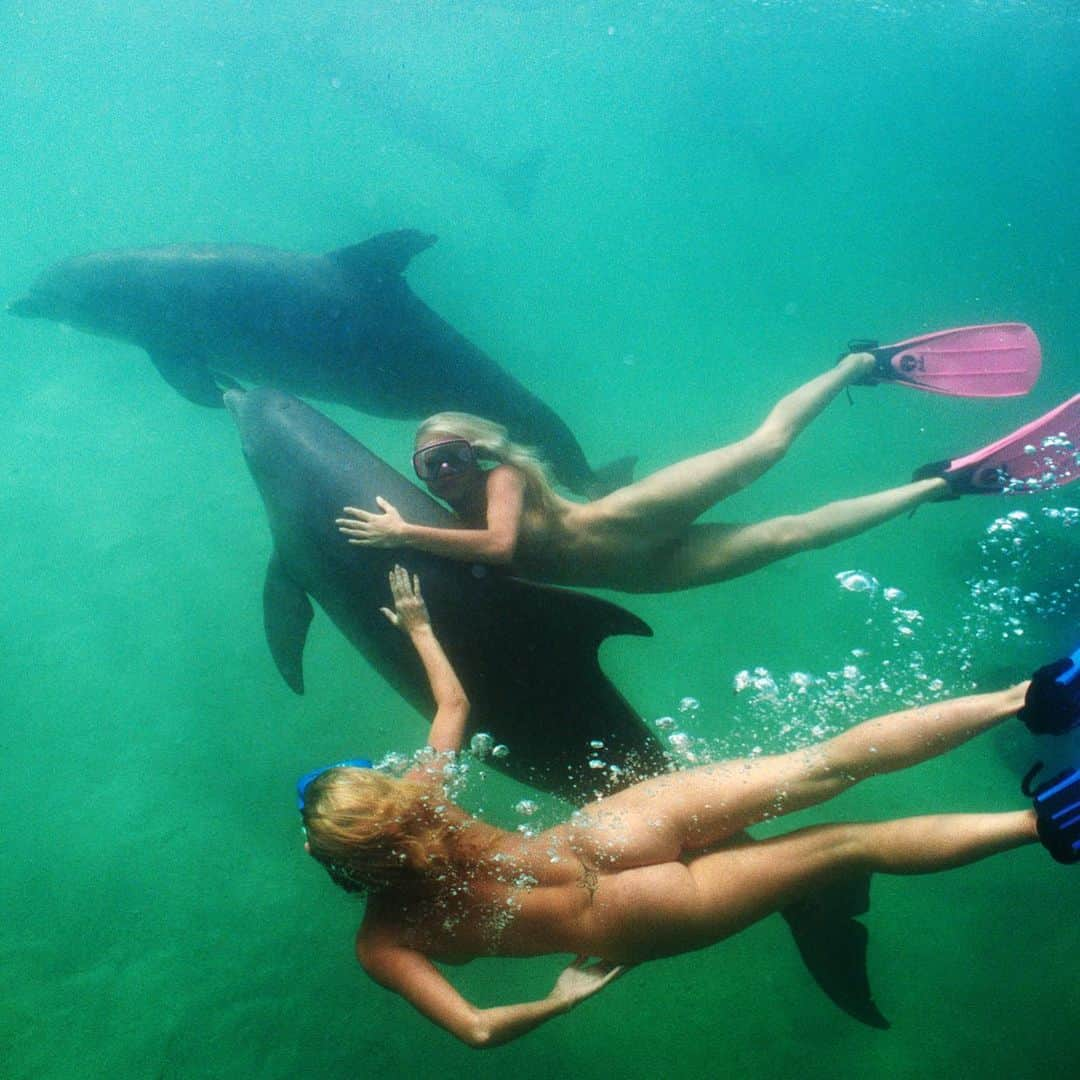 プレイボーイさんのインスタグラム写真 - (プレイボーイInstagram)「From the February 2000 pictorial ‘Wet Dreams’ featuring Playmates scuba diving in Fiji 🐬  Pictured above are August ‘97 & January ‘96 Playmates Kalin Olson and Victoria Fuller photographed by Richard Fegley #playboyheritage」11月13日 4時16分 - playboy