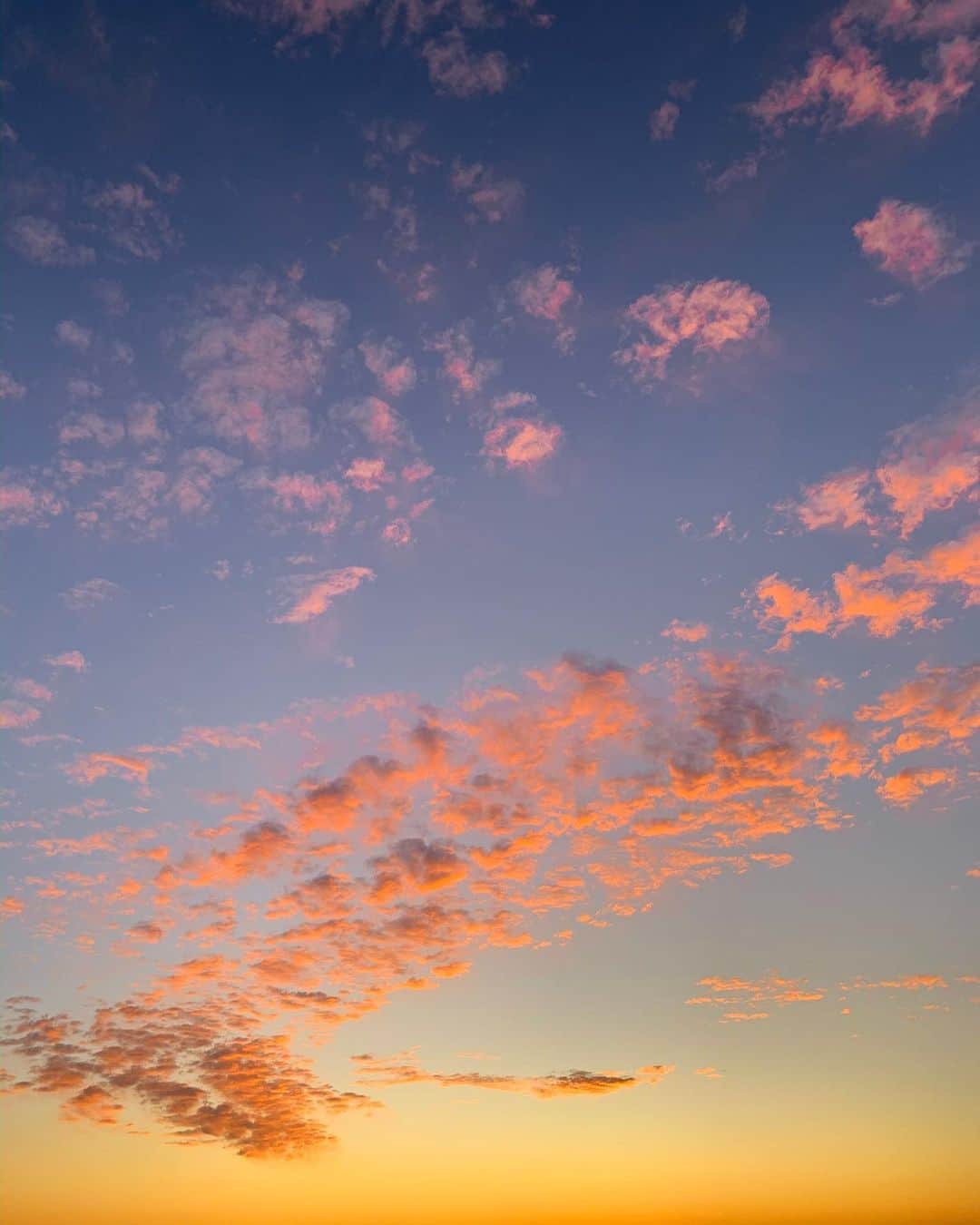 エルザ・ホスクさんのインスタグラム写真 - (エルザ・ホスクInstagram)「Dreamers sky 💖 @tomtomdaly」11月13日 14時50分 - hoskelsa