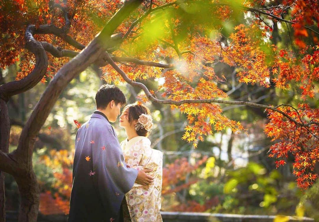 Decollte Wedding Photographyのインスタグラム：「【 Nagoya 名古屋】﻿ ﻿ Photographer @s.mochizuki_studio8 ﻿  @studio8_nagoya  @decollte_weddingphoto﻿ @decollte_weddingstyle﻿ ﻿ ﻿ #japan #Nagoya #Autumnleaves #Decolltephotography #weddinginspiration #Weddingphotography #prewedding #weddingphoto #overseasprewedding #japaneseprewedding #japanwedding #landscapephotography #romantic #love #happiness #日本 #名古屋 #紅葉 #海外婚紗 #婚紗 #唯美 #신부 #웨딩 #웨딩사진」