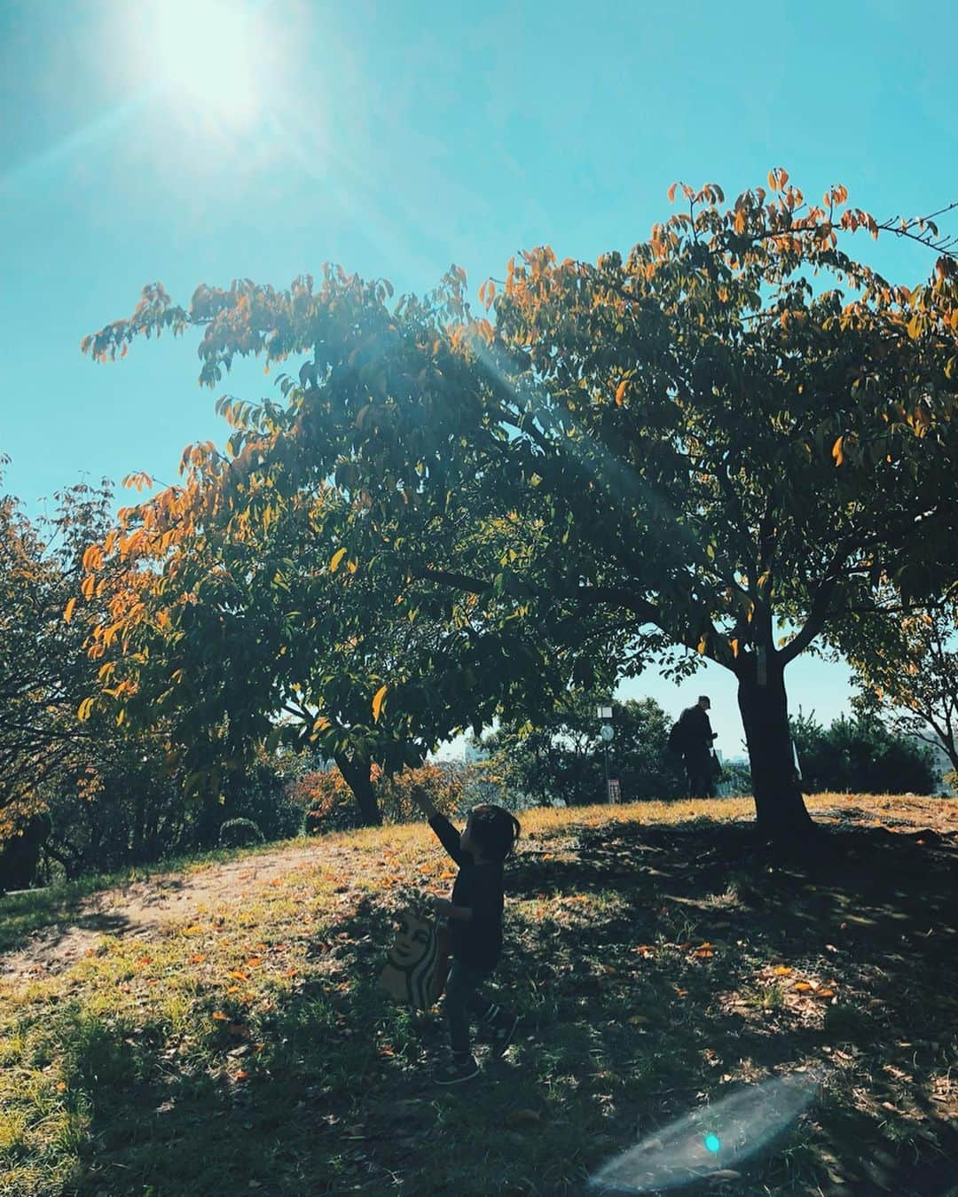 宇藤えみさんのインスタグラム写真 - (宇藤えみInstagram)「11月10日「祝賀御列の儀」 雲ひとつない晴れの日 息子は秋の宝物をたくさん見つけてました🍁🍂 #秋の宝物#秋晴れ#成長記録」11月13日 15時03分 - emiuto