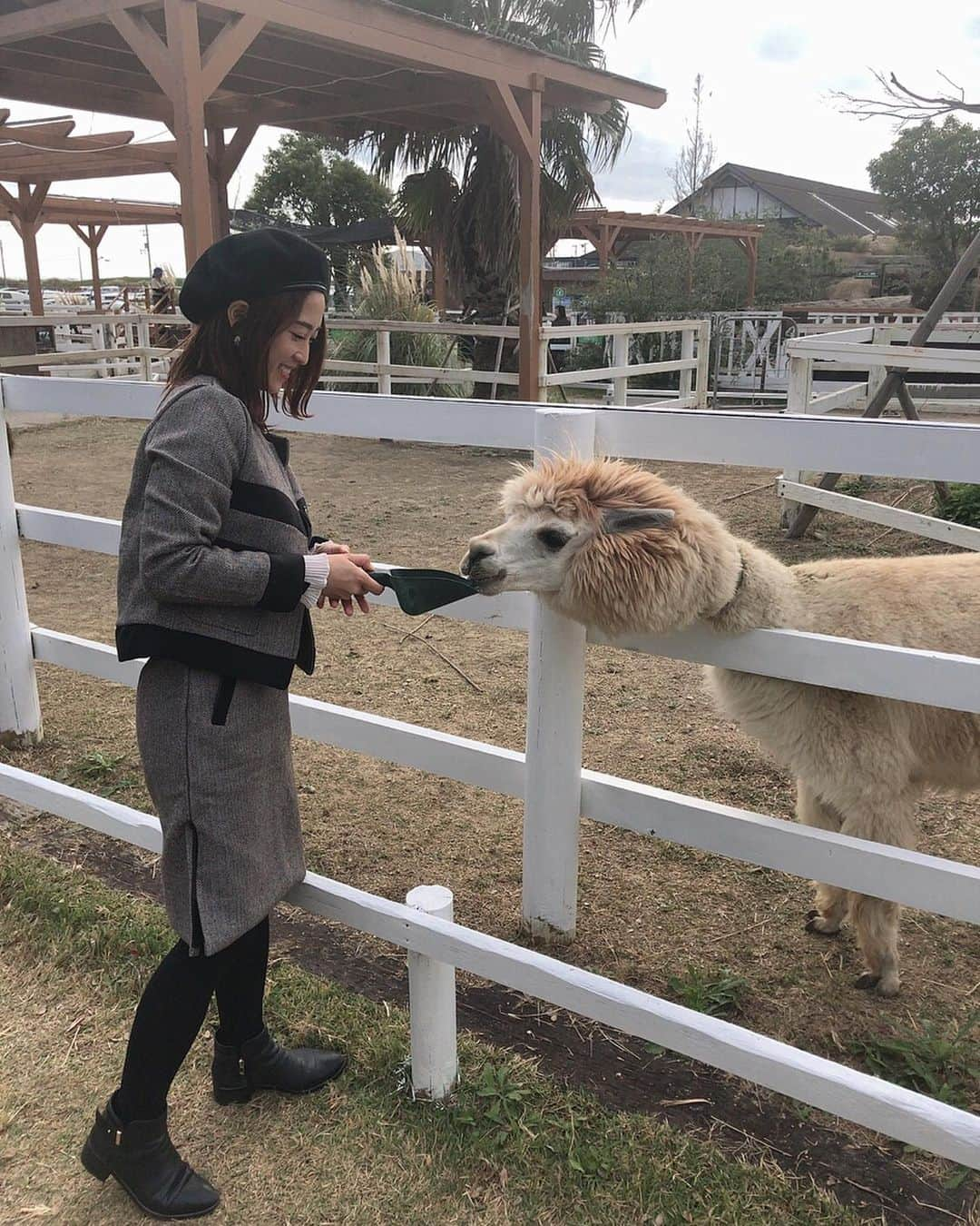 柚月めいさんのインスタグラム写真 - (柚月めいInstagram)「. めいがメーメーに餌やり🐑 あとアルパカ。あとカンガルーとうさぎとラクダにもあげた。 🐫🐇🦙 . . . #animal#動物#好き#luv#餌やり#zoo#撮影#オフショット#羊#pic#follw#instagood #柚月めい」11月13日 15時57分 - meimei.yuzu