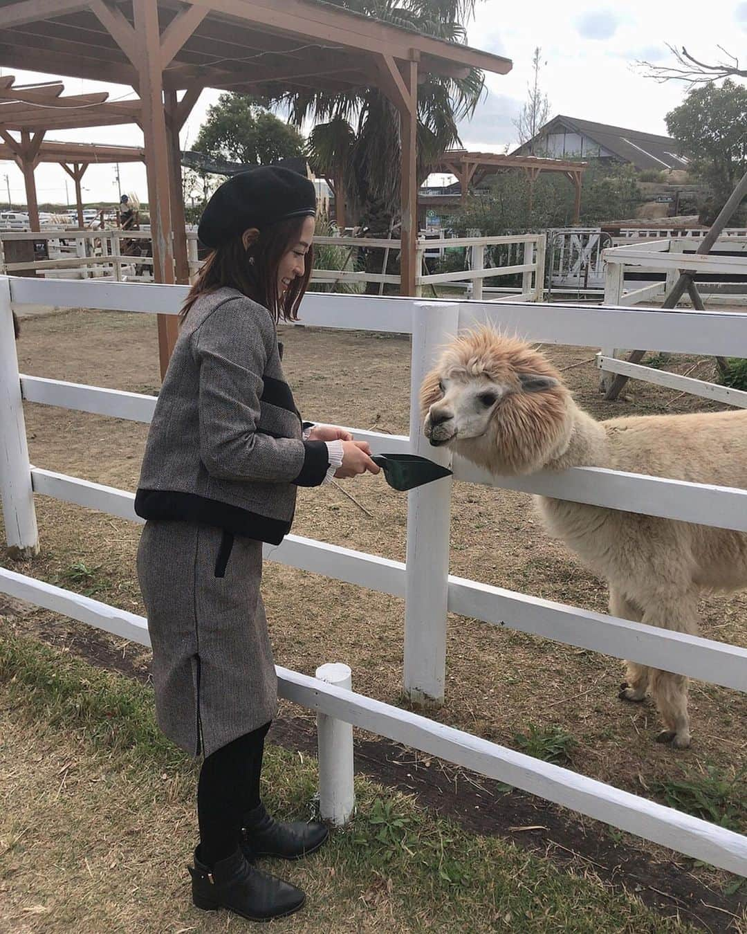 柚月めいさんのインスタグラム写真 - (柚月めいInstagram)「. めいがメーメーに餌やり🐑 あとアルパカ。あとカンガルーとうさぎとラクダにもあげた。 🐫🐇🦙 . . . #animal#動物#好き#luv#餌やり#zoo#撮影#オフショット#羊#pic#follw#instagood #柚月めい」11月13日 15時57分 - meimei.yuzu