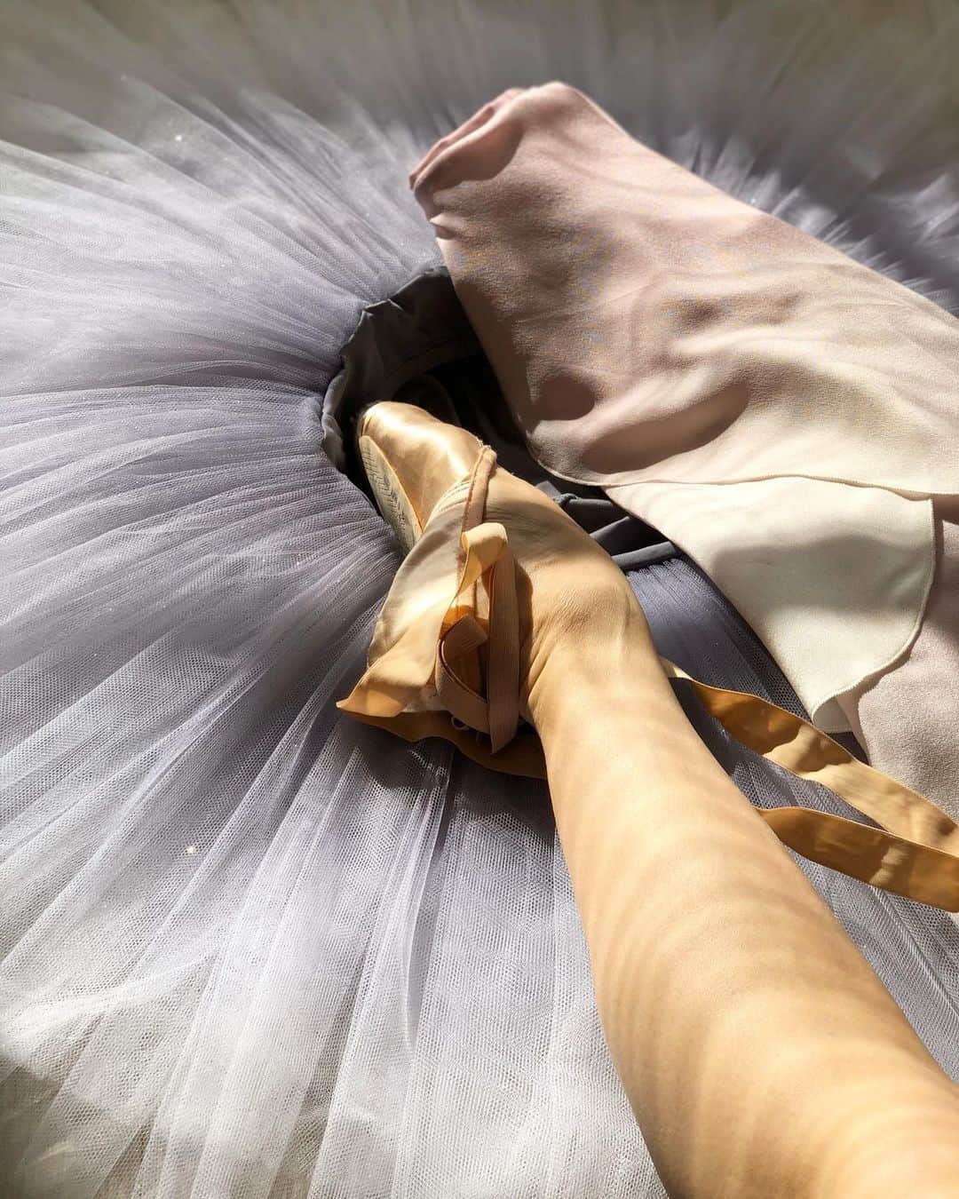 倉永美沙さんのインスタグラム写真 - (倉永美沙Instagram)「My tutu has arrived! Thank you @nuikobo and happy #tututuesday everyone💕  いつもお世話になっているnuiさんからチュチュとスカートがとどきました。ありがとうございます💙 #ballet #tutu #ballerina #ballerinalife #happy #miracle #happiness #dance #art #幸せ #バレエ #バレリーナ #rehearsal #travellife #work #wroldtraveler #travellife #fly」11月13日 8時02分 - misakuranaga
