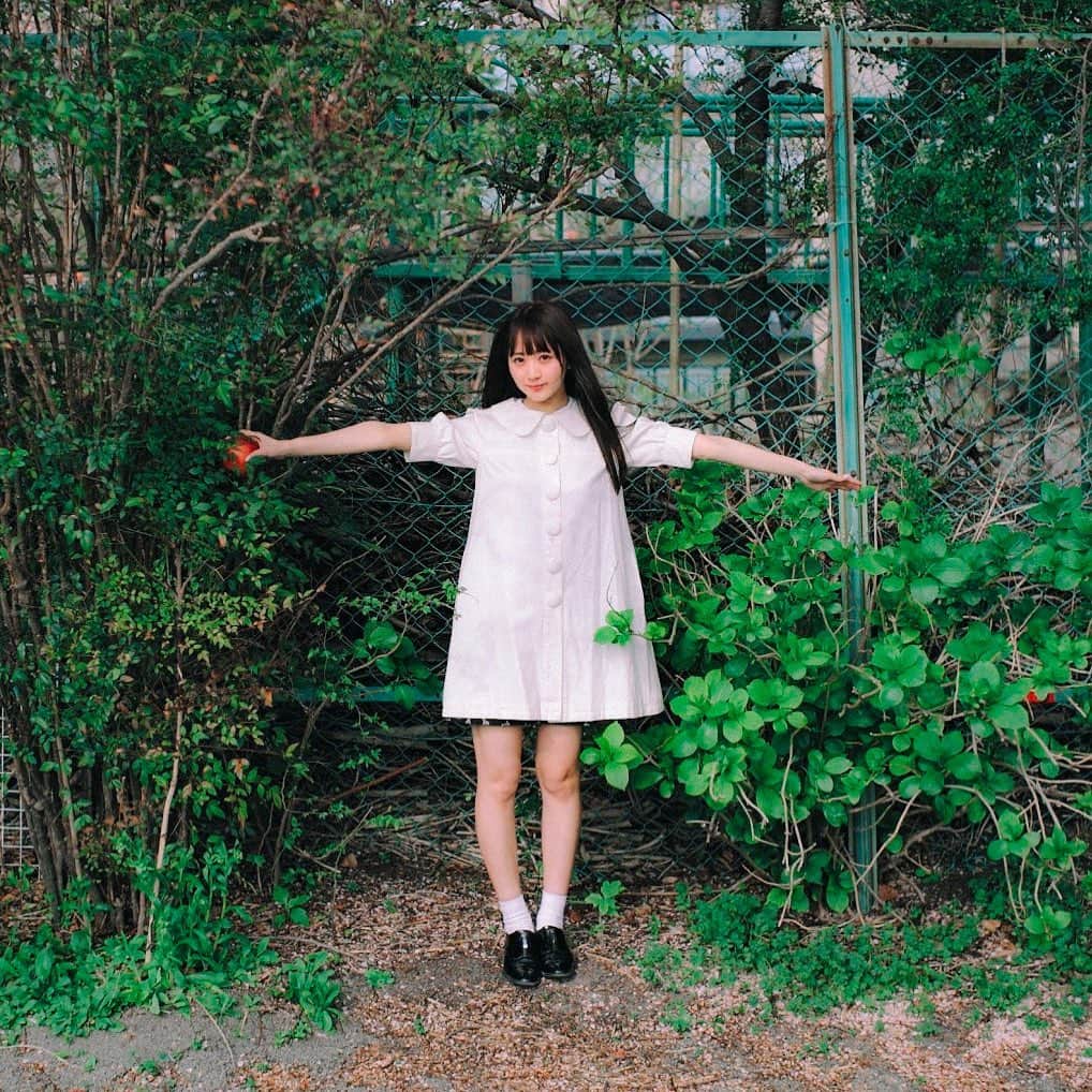 hiderin777のインスタグラム：「morning 🌿 . . #carlzeiss  #distagon  #35mmlens  #35mm  #35mmf14」