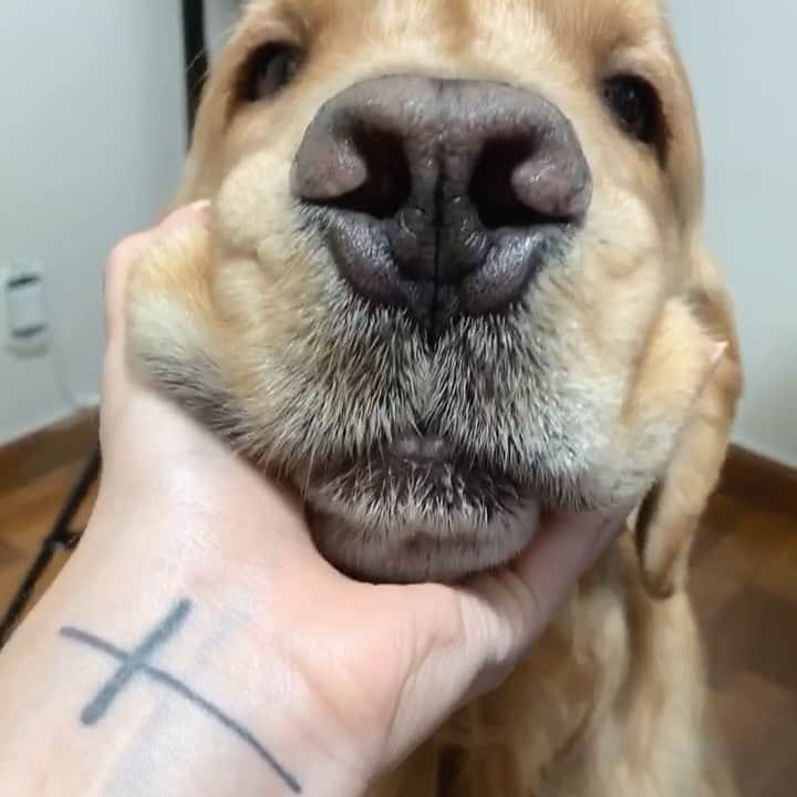 Bruna Unzuetaのインスタグラム：「Sinceramente, não tem condições....é muito amor! ❤️」