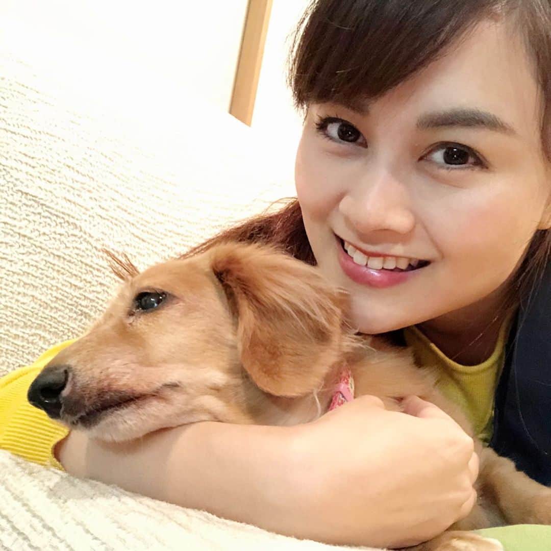 野本愛さんのインスタグラム写真 - (野本愛Instagram)「愛犬のひめたんを甘やかしすぎて、自己中わがまま犬になってしまった😩💦💦 . でも、わがまま言えるってことは愛されてるのがわかってるってことだからまぁいっか🤣🤣 . 日本にはわがままも言えない犬がたくさんいるんだろうな。 . 捨てられたり、虐待されたり。 . そういう子たちを少しでも減らしていきたい。 . 私は毎月保護犬と保護猫の施設　@petnosato に寄付してるよ❣️ . 月1000円から寄付できるよ✨ 1000円で1頭の1ヶ月分の食費なんだって❣️ . ランチ1回節約すると、 ワンコ1頭が幸せになれるよ😊 . #ミニチュアダックス #愛犬 #ミニチュアダックスフントレッド #女の子犬 #犬好きな人と繋がりたい #犬好き #ダックス大好き #保護犬 #保護猫 #動物好きな人と繋がりたい #minituredachshund #reddachshund #mylovelydog #myfamily #savedogs」11月13日 9時02分 - himemode